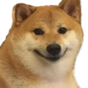 noyshunka