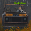 NinjaTheStreet
