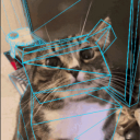 veronj